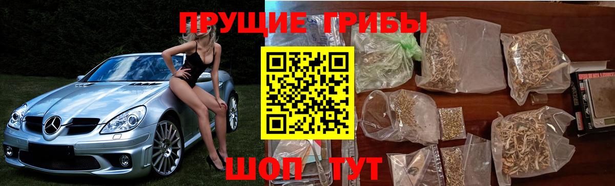 Зеленодольск  Галлюциногенные грибы Psilocybine cubensis  Вход с VPN 